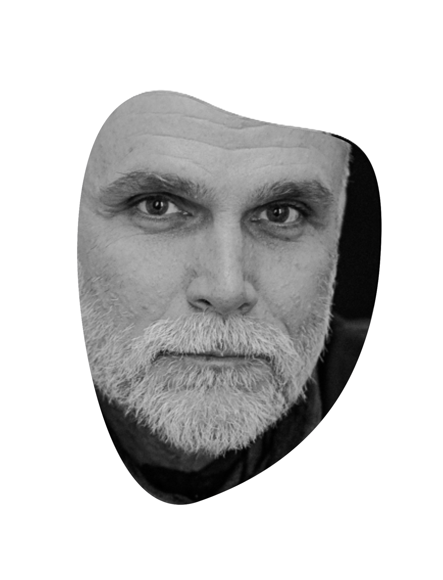 Hipszki Péter